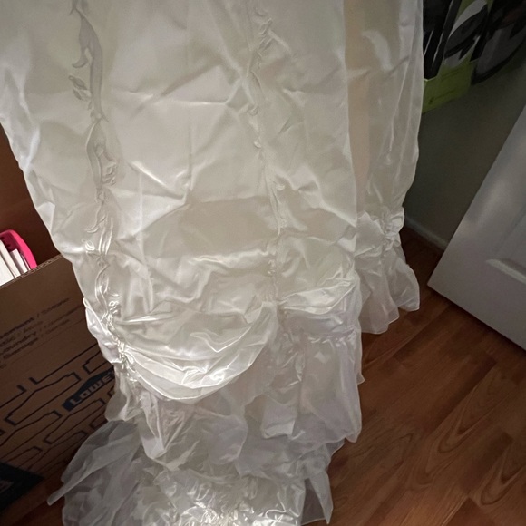 Wedding Dress with train, Petticoat, Veil - Picture 4 of 8